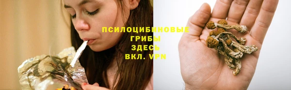 а пвп мука Заводоуковск