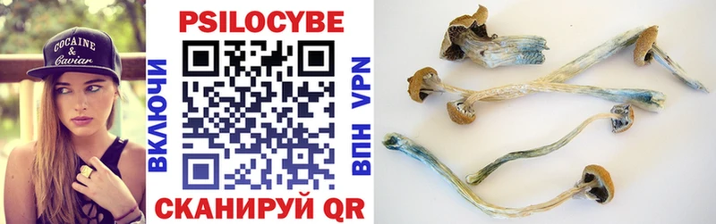 Купить где  Лиски  Псилоцибиновые грибы Psilocybine cubensis 